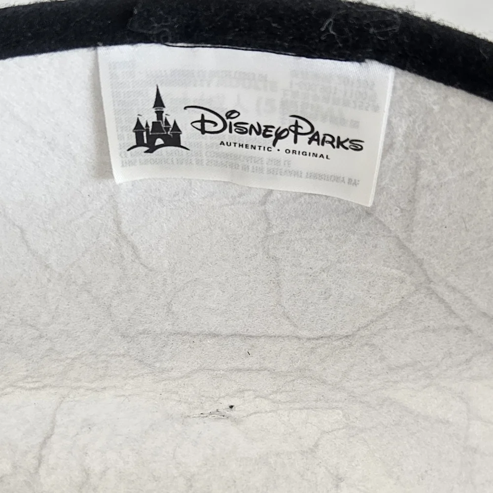 Disney parks pirates